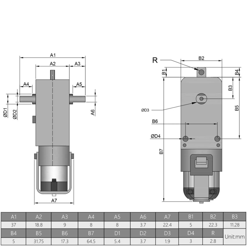 TT MOTOR - Image 2