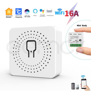mini smart switch 10A